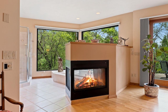1225 W Cedar St, Appleton, WI 54914 - detailed view of a multi sided fireplace, wood finished floors, and recessed lighting