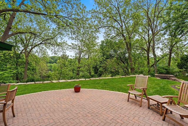 1225 W Cedar St, Appleton, WI 54914 - view of patio / terrace