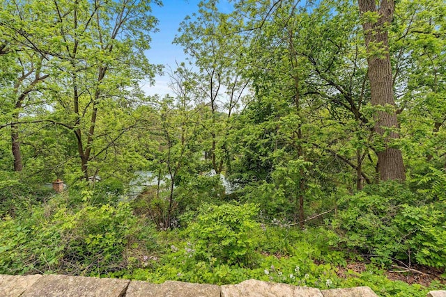 1225 W Cedar St, Appleton, WI 54914 - view of yard featuring a forest view