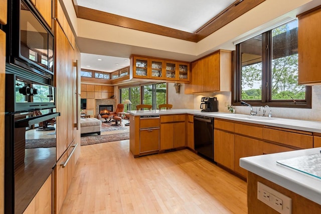 1225 W Cedar St, Appleton, WI 54914 - kitchen featuring dishwasher, a glass covered fireplace, a peninsula, light wood-style floors, and light countertops