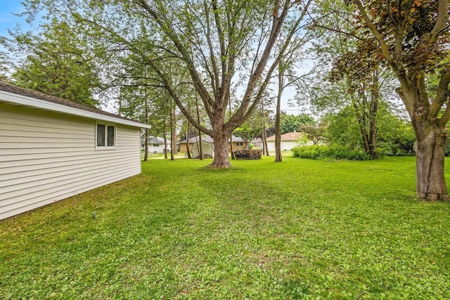 931 W Lindbergh St, Appleton, WI 54914 - view of green lawn