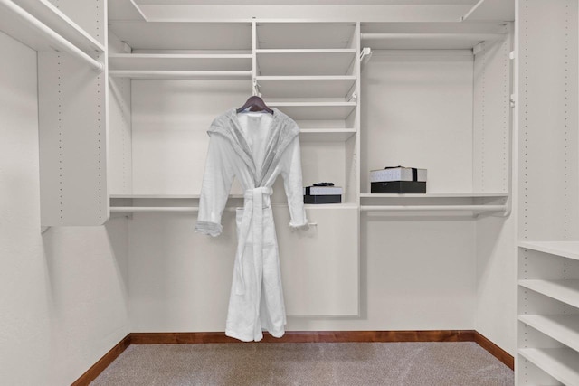 52 Penbrook Cir Unit 47, Appleton, WI 54911 - walk in closet with carpet