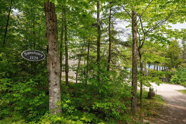 1124 Garrett Bay Rd, Ellison Bay, WI 54210 - view of property's community with driveway and a water view