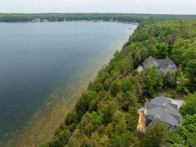 1124 Garrett Bay Rd, Ellison Bay, WI 54210 - bird's eye view of a nearby body of water and a forest