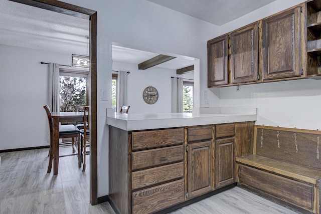 N9695 Willard Rd, Berlin, WI 54923 - kitchen featuring open shelves, light wood-style flooring, light countertops, dark brown cabinetry, and a peninsula
