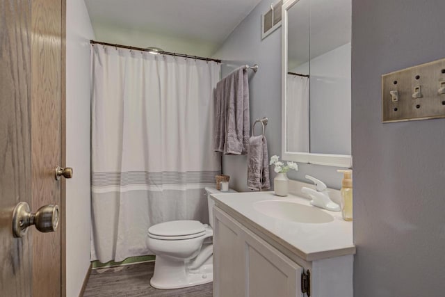 N9695 Willard Rd, Berlin, WI 54923 - bathroom featuring vanity, wood finished floors, and a shower with curtain