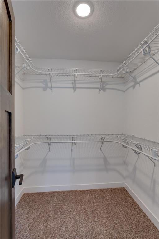 397 Candy Ln, River Falls, WI 54022 - spacious closet with carpet flooring