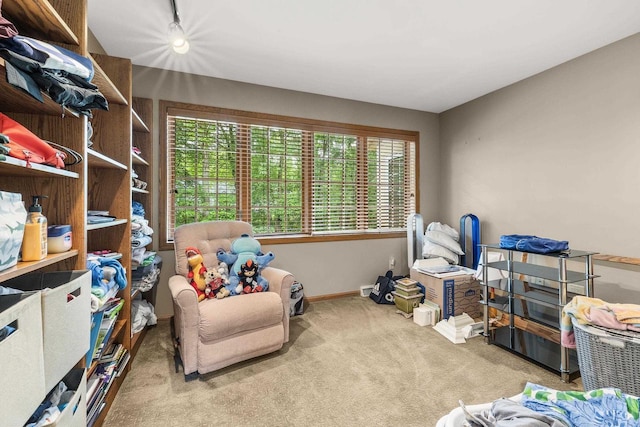 2621 Russet Dr, Plover, WI 54467 - living area with carpet floors and baseboards