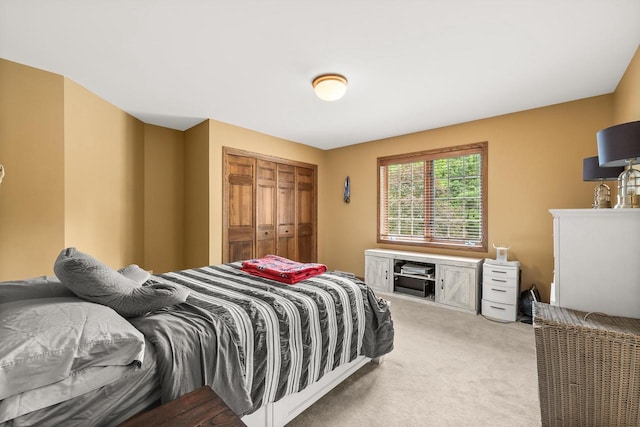 2621 Russet Dr, Plover, WI 54467 - bedroom with carpet and a closet