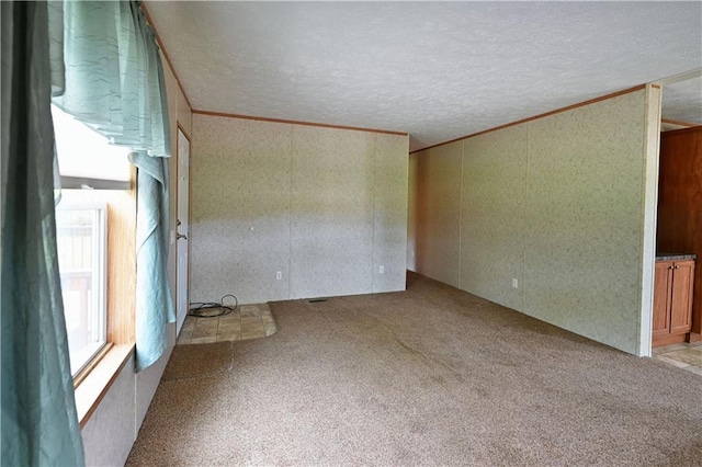 2329 Sand Rd, Shell Lake, WI 54871 - spare room featuring carpet flooring, a textured ceiling, and ornamental molding