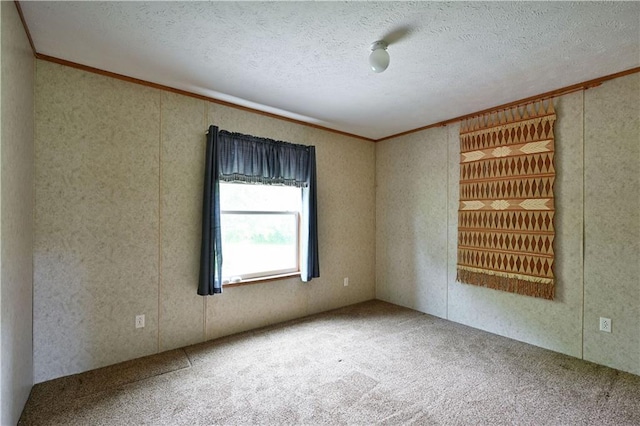 2329 Sand Rd, Shell Lake, WI 54871 - carpeted spare room featuring crown molding and a textured ceiling
