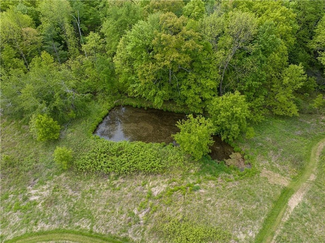 2329 Sand Rd, Shell Lake, WI 54871 - aerial view of a nearby body of water
