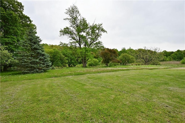 2329 Sand Rd, Shell Lake, WI 54871 - view of green lawn