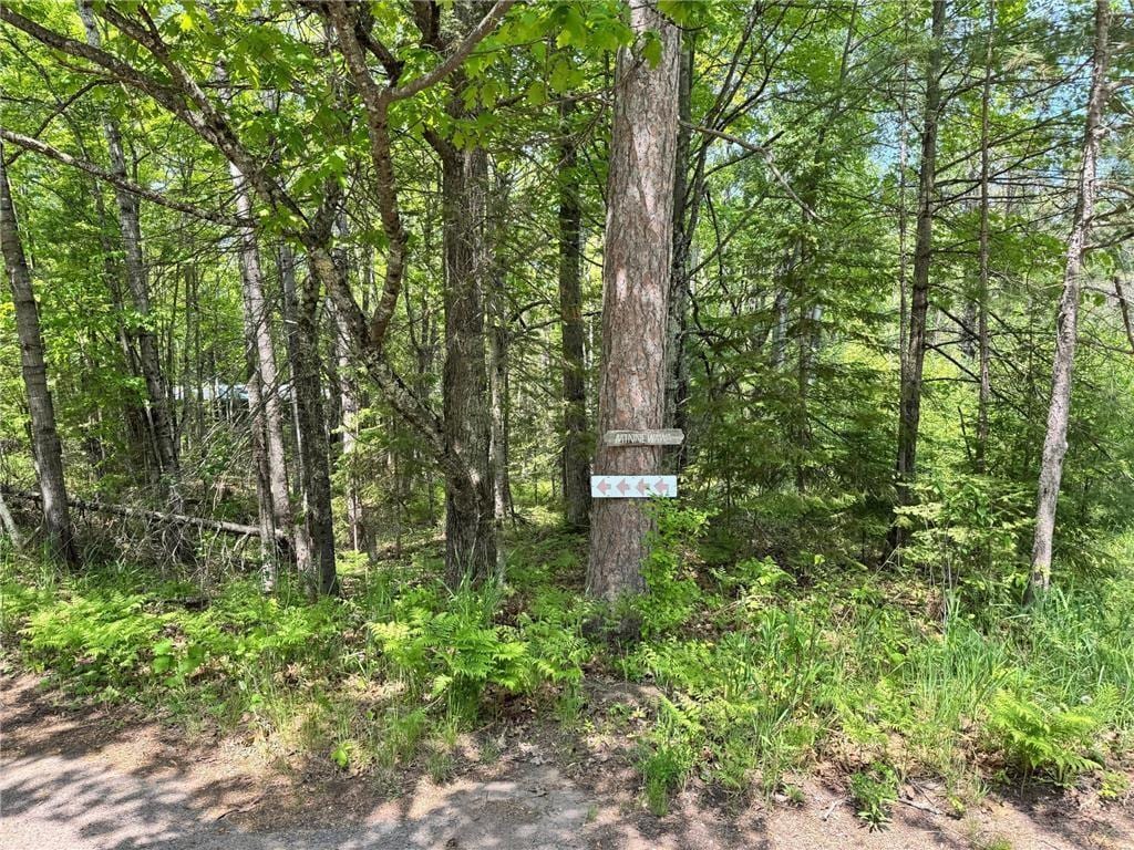 438 Minnewawa Dr, La Pointe, WI 54850