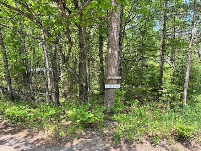 438 Minnewawa Dr, La Pointe, WI 54850