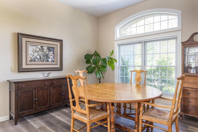 3864 Candlish Harbor Ln, Oshkosh, WI 54902 - dining room featuring dark wood-type flooring and baseboards