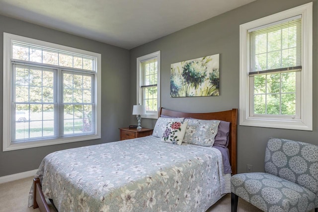 3864 Candlish Harbor Ln, Oshkosh, WI 54902 - bedroom featuring multiple windows and carpet floors