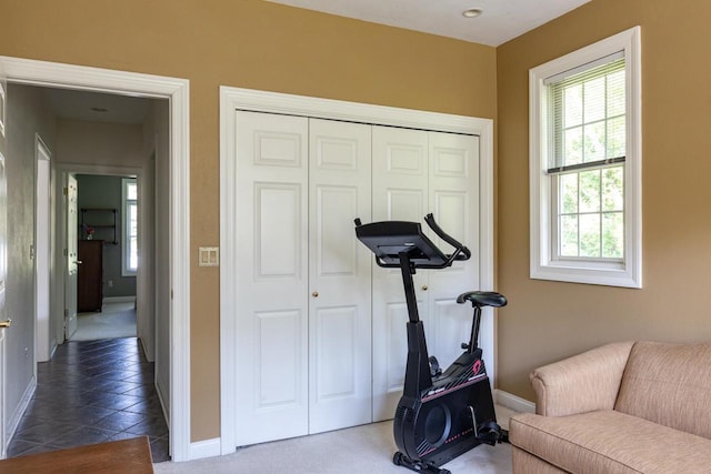 3864 Candlish Harbor Ln, Oshkosh, WI 54902 - workout room with healthy amount of natural light