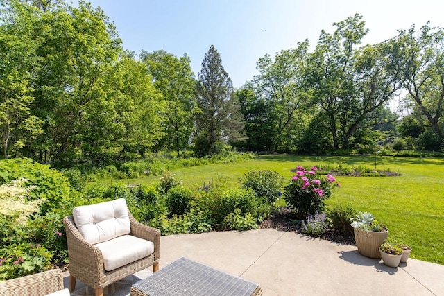 3864 Candlish Harbor Ln, Oshkosh, WI 54902 - view of patio / terrace
