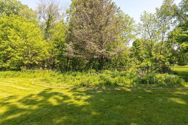 3864 Candlish Harbor Ln, Oshkosh, WI 54902 - view of yard