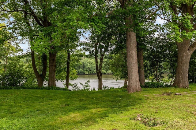 805 N Canterbury Dr, Appleton, WI 54915 - water view