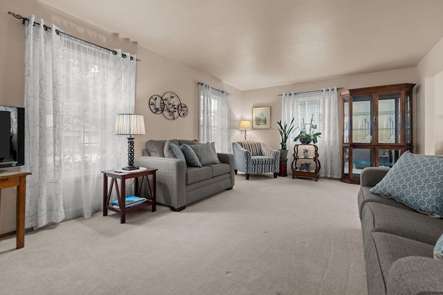 805 N Canterbury Dr, Appleton, WI 54915 - living area with carpet