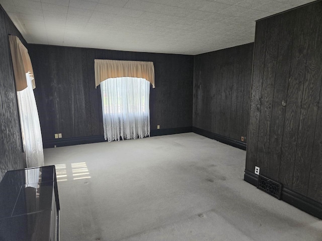 624 Depot St, Manawa, WI 54949 - spare room featuring wooden walls and carpet floors