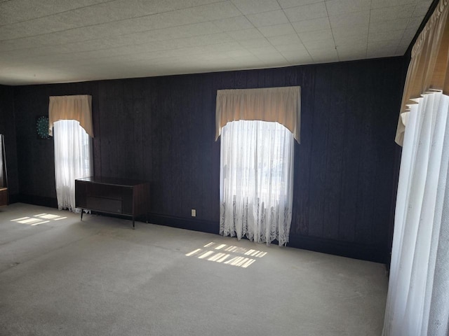 624 Depot St, Manawa, WI 54949 - carpeted spare room with wooden walls