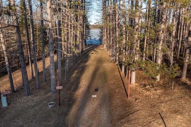 8420 Southview Dr, Crandon, WI 54520 - view of undeveloped land with a large body of water