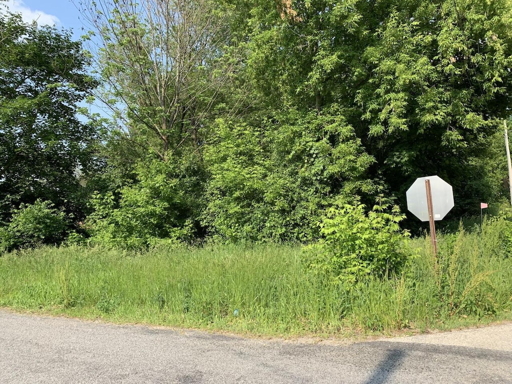 LT1098 Cedar Rd, Genoa City, WI 53128