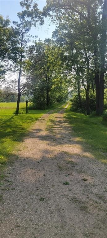 N3598 Nichols Rd, Black River Falls, WI 54615 - view of road
