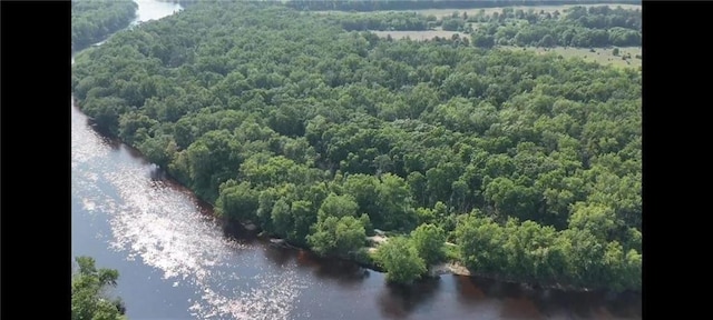 N3598 Nichols Rd, Black River Falls, WI 54615 - bird's eye view of a forest and a nearby body of water