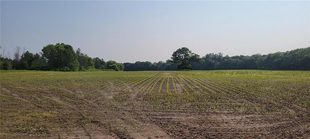 N3598 Nichols Rd, Black River Falls, WI 54615 - view of yard with a view of countryside and agricultural area