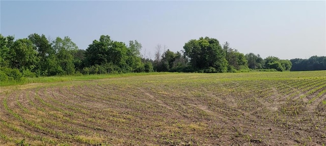 N3598 Nichols Rd, Black River Falls, WI 54615 - view of nature featuring rural landscape