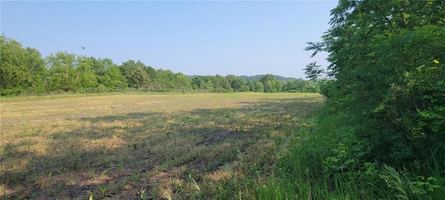 N3598 Nichols Rd, Black River Falls, WI 54615 - view of wooded area