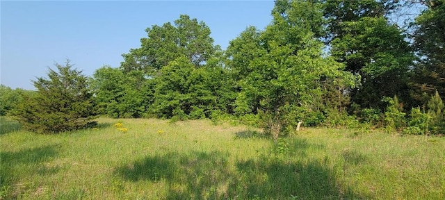 N3598 Nichols Rd, Black River Falls, WI 54615 - view of local wilderness