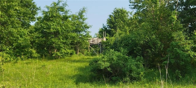 N3598 Nichols Rd, Black River Falls, WI 54615 - view of local wilderness