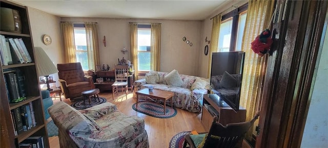 N3598 Nichols Rd, Black River Falls, WI 54615 - living room featuring wood finished floors