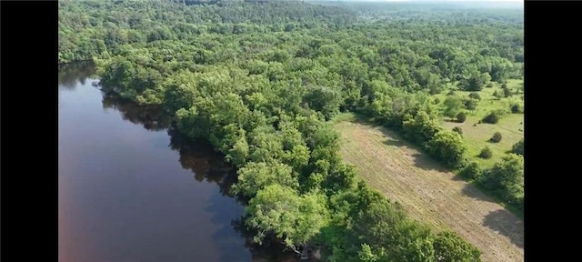 N3598 Nichols Rd, Black River Falls, WI 54615 - bird's eye view of a nearby body of water and a heavily wooded area