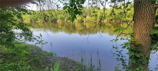 N3598 Nichols Rd, Black River Falls, WI 54615 - water view
