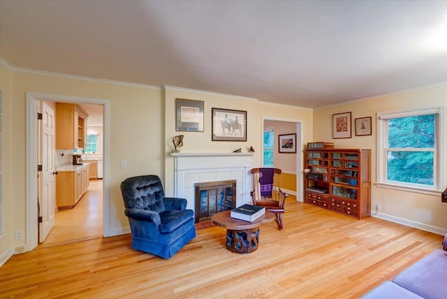 818 Ottawa Trl, Madison, WI 53711 - living area featuring a tile fireplace, light wood finished floors, and ornamental molding
