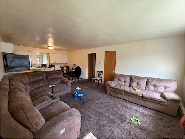 2342 Allied Dr Unit 4, Madison, WI 53711 - living room featuring carpet floors