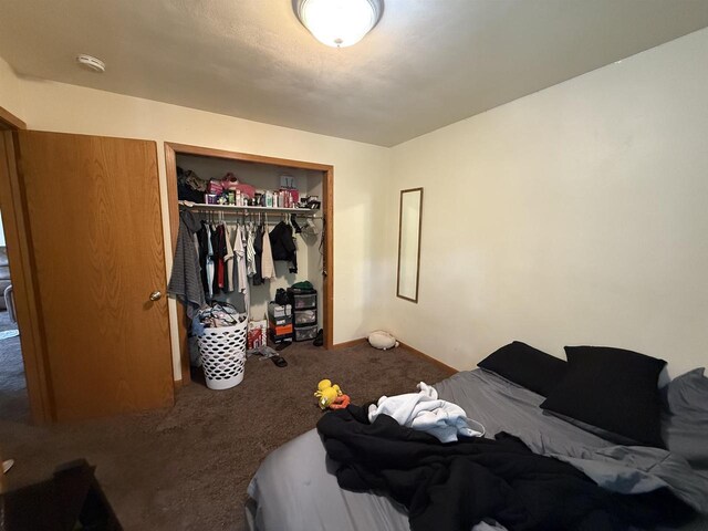 2342 Allied Dr Unit 4, Madison, WI 53711 - bedroom with carpet flooring and a closet