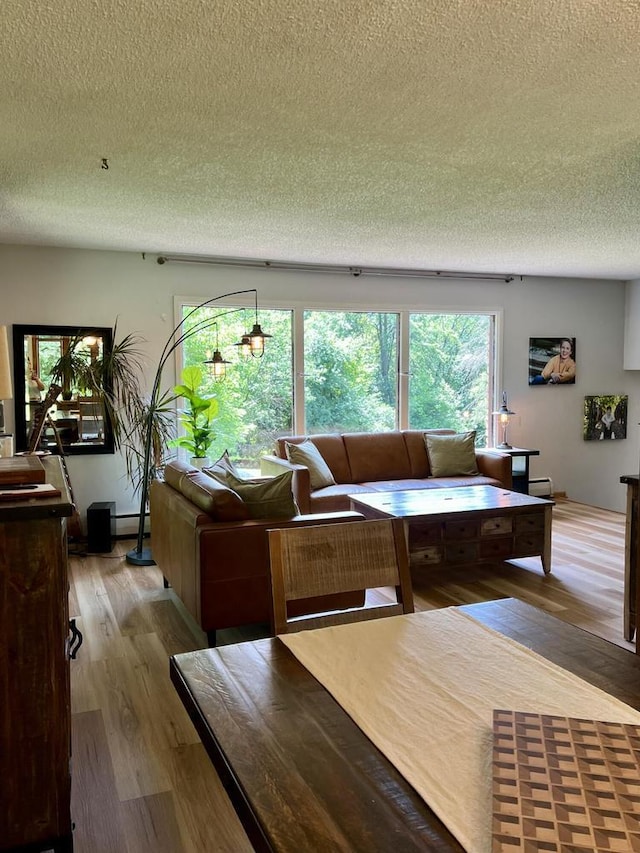 5116 S 84th St, Greendale, WI 53129 - living room featuring a textured ceiling, wood finished floors, and a baseboard radiator