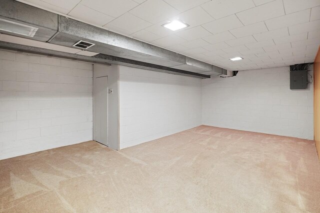 324 E Market St, Burlington, WI 53105 - finished below grade area featuring carpet floors, electric panel, and concrete block wall
