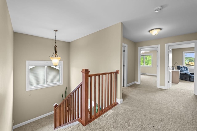 7131 Caneel Trl, Middleton, WI 53562 - hall with an upstairs landing and carpet