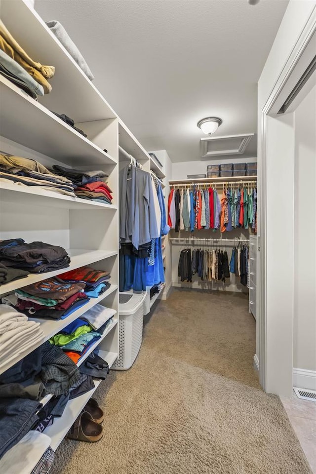 7131 Caneel Trl, Middleton, WI 53562 - spacious closet featuring carpet and attic access