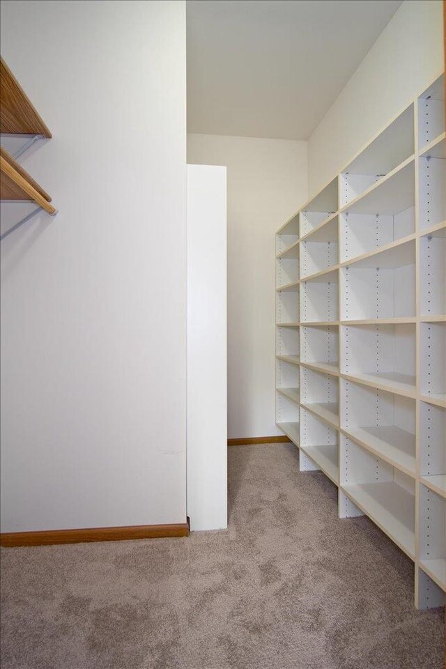 6701 Fairhaven Rd Unit 202, Madison, WI 53719 - walk in closet with carpet
