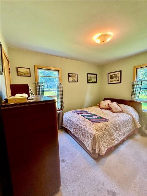 306 Pleasant Ave, Frederic, WI 54837 - view of carpeted bedroom