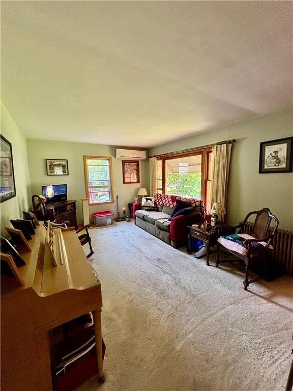 306 Pleasant Ave, Frederic, WI 54837 - carpeted living area with a wall mounted AC